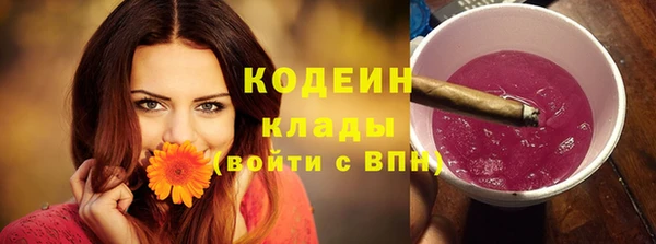 меф Вяземский