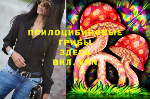 меф Вяземский