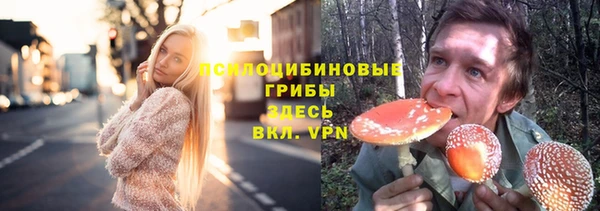 меф Вяземский