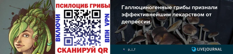 Купить где  Шарья  Псилоцибиновые грибы Magic Shrooms 