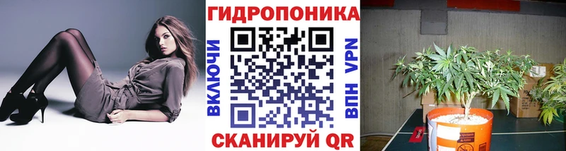 Канабис Ganja  Купить  Шарья 